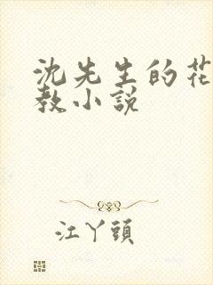 沈先生的花式管教小说