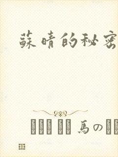 苏晴的秘密小说