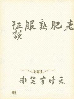 征服熟肥老妇小说封面