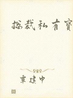 总裁私有宝贝封面