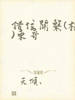 错位关系(校园)东哥封面