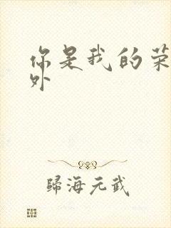 你是我的荣耀番外