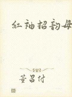 红袖招韵母攻略
