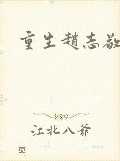 重生赵志敬封面