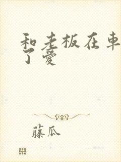 和老板在车里做了爱