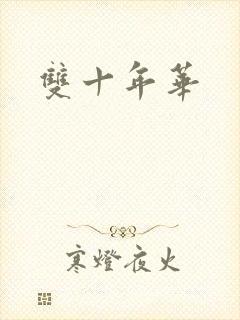 双十年华封面