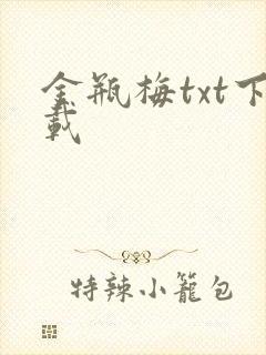 金瓶梅txt下载封面