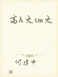 高h文sm文