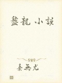 盘龙 小说