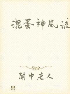 混蛋神风流记封面