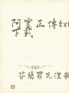 阿宾正传txt下载