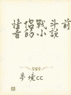 情侣战斗前适合看的小说