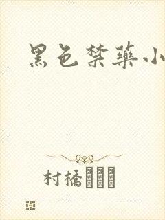 黑色禁药小说封面