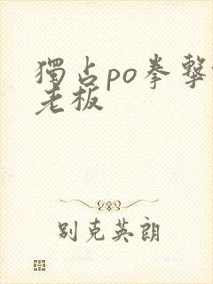 独占po拳击馆老板