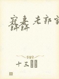 宠妻 老郭家的饼饼