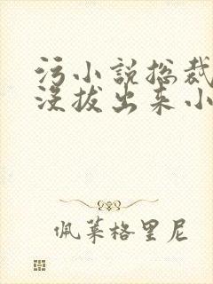 污小说总裁整夜没拔出来小说在线阅读封面