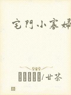 宅门小寡妇封面