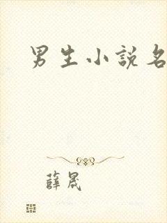 男生小说名字