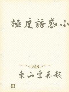 极度诱惑小说封面