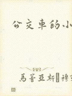 公交车的小说封面