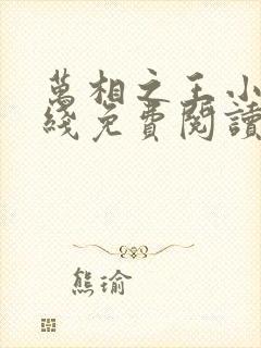 万相之王小说在线免费阅读完整版封面