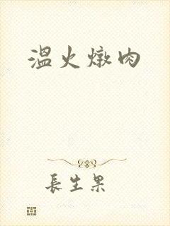 温火炖肉
