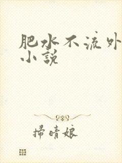 肥水不流外人田小说封面