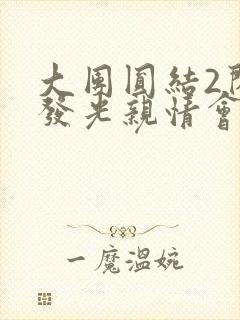 大团圆结2闪闪发光亲情会