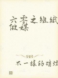 六零之组织给我做媒