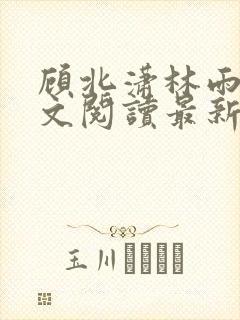 顾北潇林雨菲全文阅读最新章节