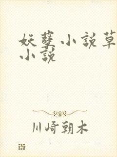 妖孽小说草莓酱小说