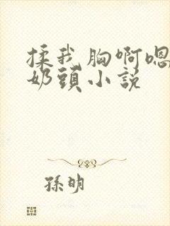 揉我胸啊嗯～吸奶头小说