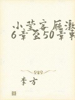 小莹客厅激情46章至50章软件介绍