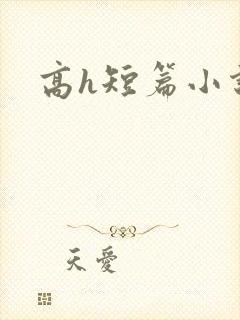 高h短篇小说封面