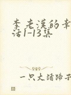 李老汉的幸福生活1-13集封面