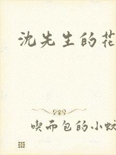 沈先生的花式调