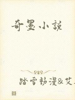 奇墨小说封面