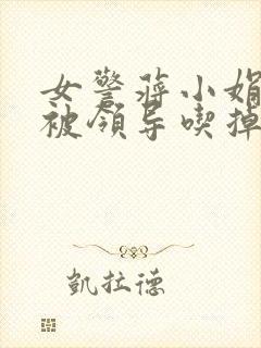 女警蒋小娟的奶被领导吃掉了封面