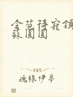 含苞待宠镇国公苏圆圆