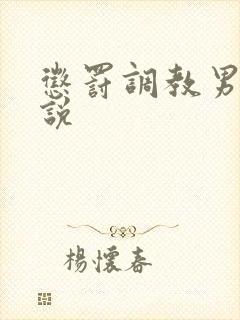 惩罚调教男男小说