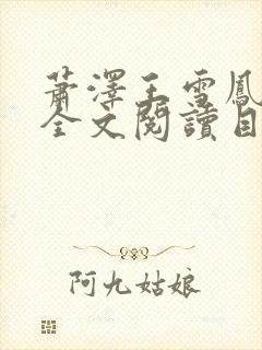 萧泽王雪凤小说全文阅读目录封面