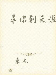 寻你到天涯