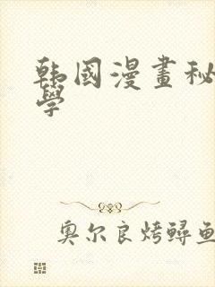 韩国漫画秘密教学封面
