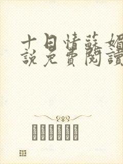 十日情苏媚的小说免费阅读全文封面