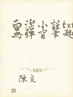 白洁小说txt无弹窗笔趣阁封面