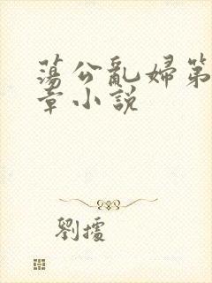 荡公乱妇第51章小说封面