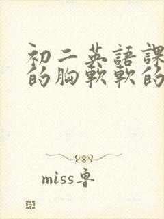 初二英语课代表的胸软软的