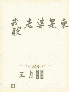 我老婆是东方不败