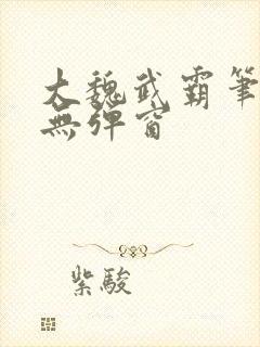 大魏武霸笔趣阁无弹窗