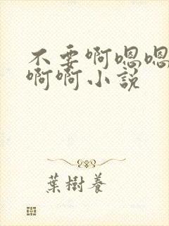 不要啊嗯嗯嗯啊啊啊小说封面